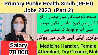 Primary Public Health Department PPHI Jobs 2023  PPHI2 Sindh Jobs 2023  Sanam Dilshad [upl. by Irrabaj987]