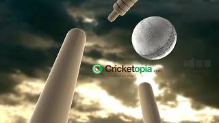 Cricket Stump animation  Ideaheavens [upl. by Yednarb]