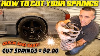 STOP BUYING LOWERING SPRINGS  How To Cut Your Stock Springs  Quick And Easy [upl. by Allenad]