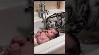 CAT Baths Baby Adorable Home Video Purrfect Bath  Cat and Baby Unlikely Bath Time  Cat and Baby [upl. by Balfore]