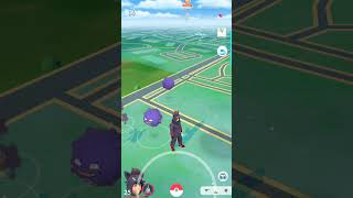 DestroTKing Feebas finally evolved🐟🐟🐟pokemongo [upl. by Schatz437]