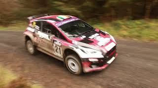 Cambrian Rally 2024  Action from the Clocaenog Stage  SS25 [upl. by Zweig]