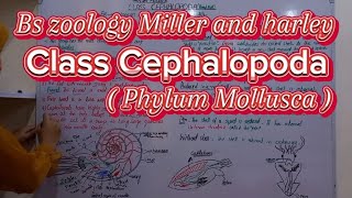 Class Cephalopoda  Phylum Mollusca  Types of Shell in Cephalopods  Bs Zoology Miller amp Harley [upl. by Skiba]