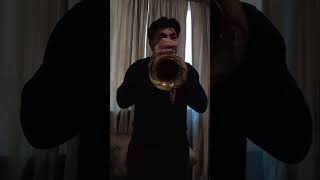 Paris Couesnon flugelhorn [upl. by Sankey]