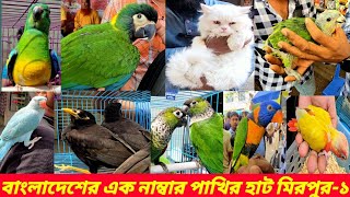 অসাধারণ পাখি মিরপুর ১ পাখির হাটে  exotic bird mirpur 1 pakhir hat  black salik bird  27092024 [upl. by Stucker]