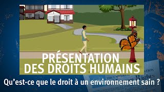 Présentation des droits humains 9  Le droit à un environnement sain [upl. by Carlynne]