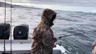 Oregon Coast rockfish [upl. by Lorri728]