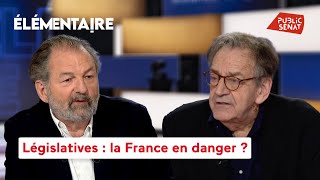 Élections législatives  la France en danger [upl. by Nylrahs]