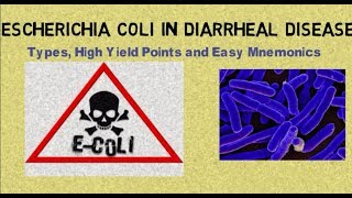 Escherichia coli E coli in Diarrheal Disease Types High Yield Points amp Mnemonics [upl. by Vierno]