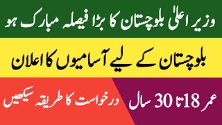 Balochistan Latest Jobs Today  Balochistan new jobs 2024  Pak Job Career 10 [upl. by Bartie]