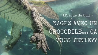 Afrique du Sud On a nagé avec un crocodile [upl. by Bashemeth]