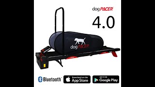 dogPACER 40 The Worlds First Smart Dog Treadmill [upl. by Carling]