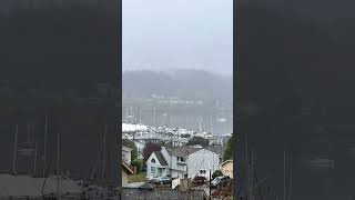 Misty Morning at Liberty Bay Poulsbo Washington [upl. by Aitropal825]