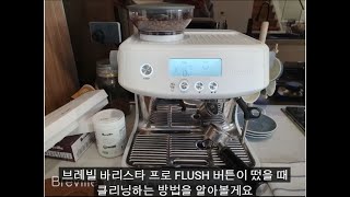 FLUSH 세척하기한국말 자막과 설명Breville Barista Pro BES 878 Flush [upl. by Micah]