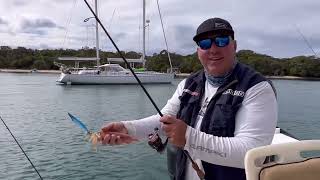 How to catch squid in Gold Coast Broadwater and knowing what tackle to use [upl. by Nyrrek]