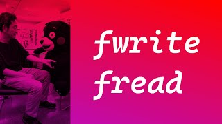 グレートC言語・fwrite fread [upl. by Glynas78]