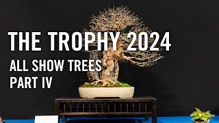 Bonsai Trophy 2024 Belgium all show trees part 4 [upl. by Anyalram]