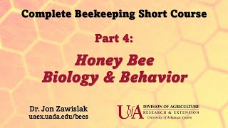 Part 4 Honey Bee Biology [upl. by Alvie748]