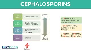 Cephalosporins Pharmacology 1st to 5th Generations Mnemonics Indications and Adverse effects [upl. by Noerb614]