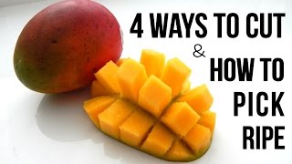 4 BEST WAYS TO CUT MANGO FAST [upl. by Crowns]