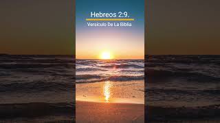 Hebreos 29 Versículo De La Biblia [upl. by Kieffer144]