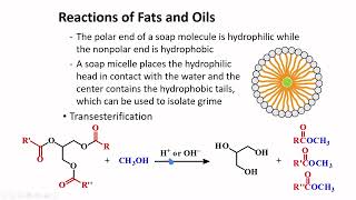 Fats Oils amp Fatty Acids │ Carboxylic Acids amp Derivatives │ Organic Chemistry [upl. by Alodee]