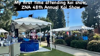 First time to Koi Show ZNA 48th Annual Koi Show znasocal zna koi koishow losangeles koidealer [upl. by Dulcie]