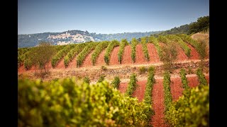 Beyond Burgundy Louis Latour  Domaine de Valmoissine [upl. by Ys529]