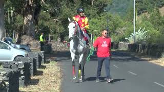 Carreras de caballos La Palma Ecuestre 2022 desde el municipio de El Paso [upl. by Okire]