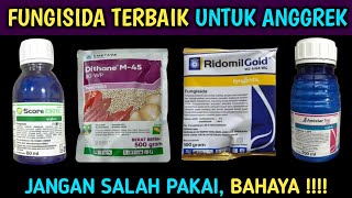 FUNGISIDA TERBAIK Untuk ANGGREK [upl. by Alby]