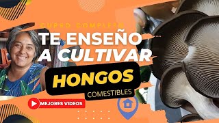 15👩‍🌾🍄CULTIVAR HONGOS COMESTIBLES Cosecha de Gírgolas [upl. by Ludlew810]