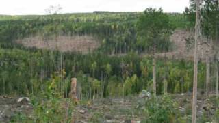 Ingemars Vår gamle grend Finnskogen [upl. by Helen]