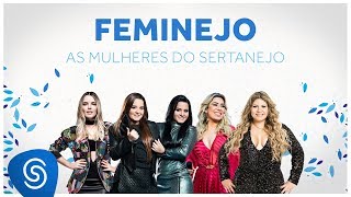 Feminejo As Mulheres do Sertanejo  Mix Sertanejo 2019 [upl. by Wenona656]