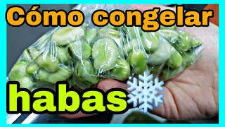 Cómo CONGELAR HABAS sin vainas  Congelar verduras fácil [upl. by Eillac396]