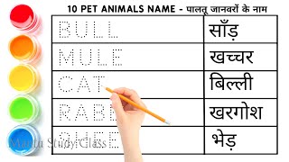 Pet Animals Name Hindi and English  Pet Animals Name  Domestic Animals Name [upl. by Mapel]