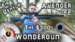 Avenger 22 Air Rifle  Accuracy TEST  50 amp 100 Yards  Tuned  FULL REVIEW  Air Venturi PCP [upl. by Huff132]