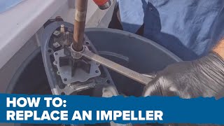 How to Replace a Yamaha Water Pump  F150 F175 amp F200  DIY Yamaha Outboard Maintenance [upl. by Basilio]