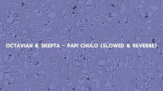 Octavian amp Skepta  Papi Chulo Slowed amp Reverbe [upl. by Sisile442]