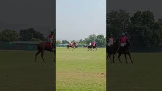 Polo match Jaipur 🏇🏇 [upl. by Septima]