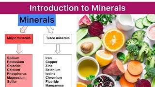 Minerals Introduction Function And Classification Overview  Minerals Ca Mg p Na K Cl S Fe [upl. by Pierce]