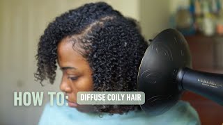 How to Diffuse Coily Hair  Stretch Diffusing  Curlsmith [upl. by Chadabe]