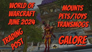 World of Warcraft DRAGONFLIGHT June 2024 Trading Post Mounts a Pet amp Transmogs GALORE Surfs UP [upl. by Enyahc]