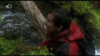 Man vs Wild  Alaska  Disastrous Results [upl. by Atniuq429]