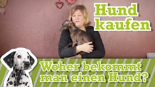 Welpen kaufen  Hund kaufen  Tipps vor dem Kauf [upl. by Giana]