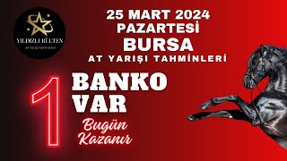 25 Mart 2024 Pazartesi Bursa At Yarışı Tahminleri [upl. by Hagai]