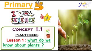 Science  Primary 5  lesson 1 concept 11 what do we know about plants [upl. by Tedi]