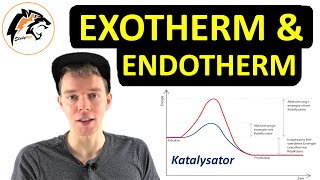 exothermic and endothermic reaction demonstrations [upl. by Nnor]