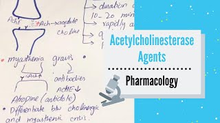 ANTICHOLINESTERASE AGENTS REVERSIBLE  INDIRECTACTING CHOLINERGIC AGONISTS PHARMACOLOGY [upl. by Bik548]