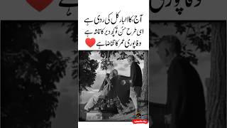 Umar Ka Taqaza 😊🙏Heart touching Urdu Quotes  Wafa Beautiful Urdu Quotes  Golden Words shorts [upl. by Eelanna]