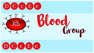 Blood Types Blood Group Systems and Transfusion Rule Animation [upl. by Airotnes553]